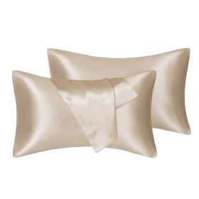 75D Satin Artificial Silk Pillowcase (Option: Champagne-Queen 20X30in)